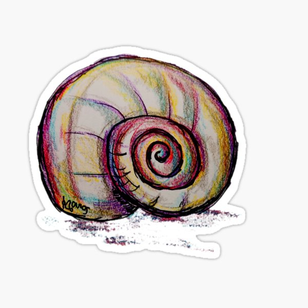 caracol2