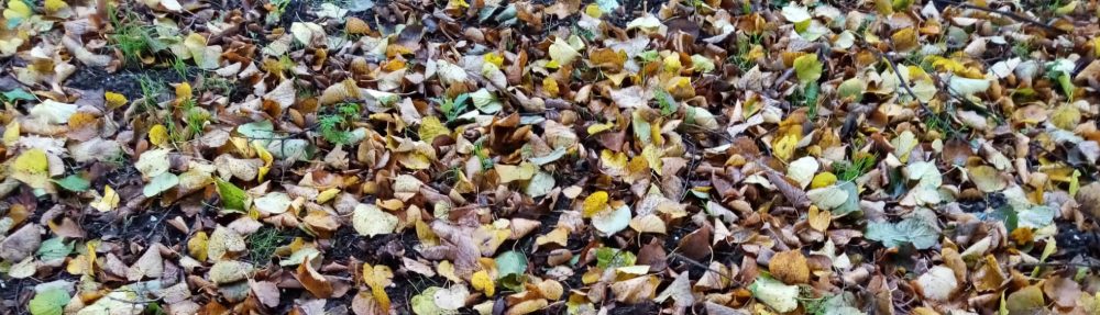 Apuntes de una cualquiera